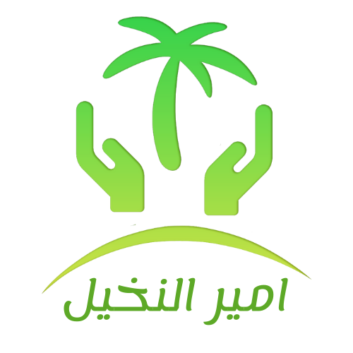 Amer Elnakel